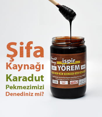 karadut-pekmezi-100x200